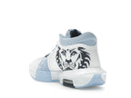 Nike LeBron Witness 8 UNC
