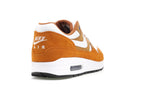 Nike Air Max 1 Curry (2018)